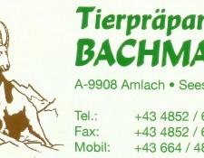 tierpräparator_bachmann_2_edit