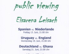 plakat_publik_viewing_wm_20140617